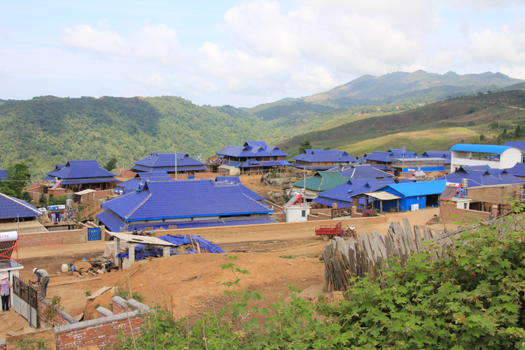 2021年班章茶區(qū)壩卡竜古樹(shù)秋茶價(jià)格是多少?