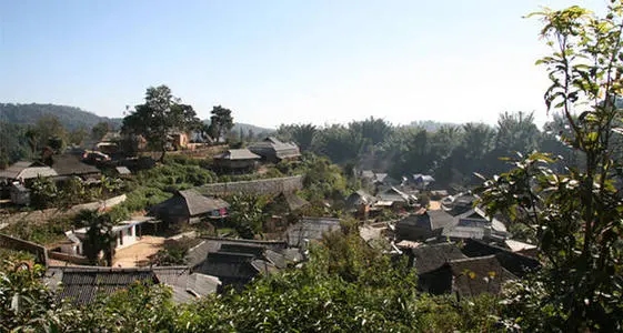 2021年班章茶區(qū)壩卡竜古樹(shù)秋茶多少錢(qián)一公斤？