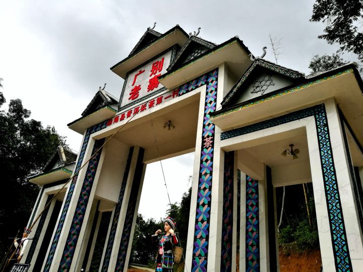 2021年廣別老寨古樹秋茶特點(diǎn)?