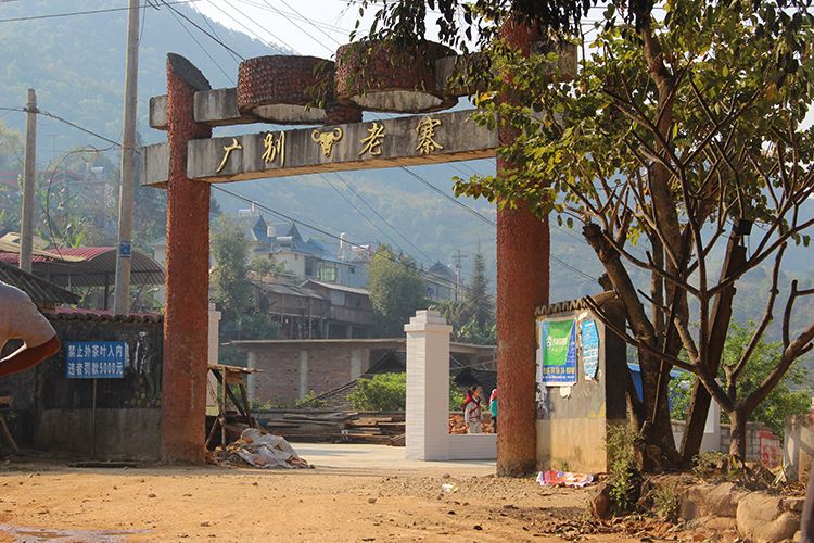 2021年廣別老寨古樹(shù)秋茶口感？