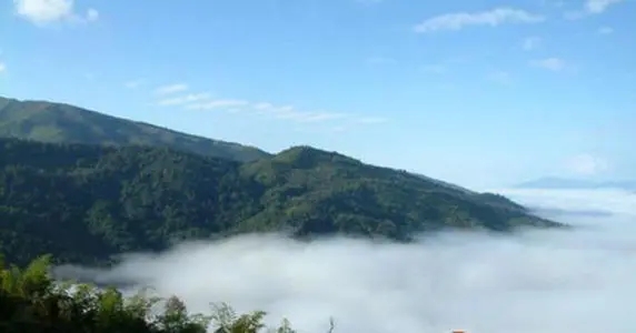 2021年滑竹梁子古樹品鑒實錄？