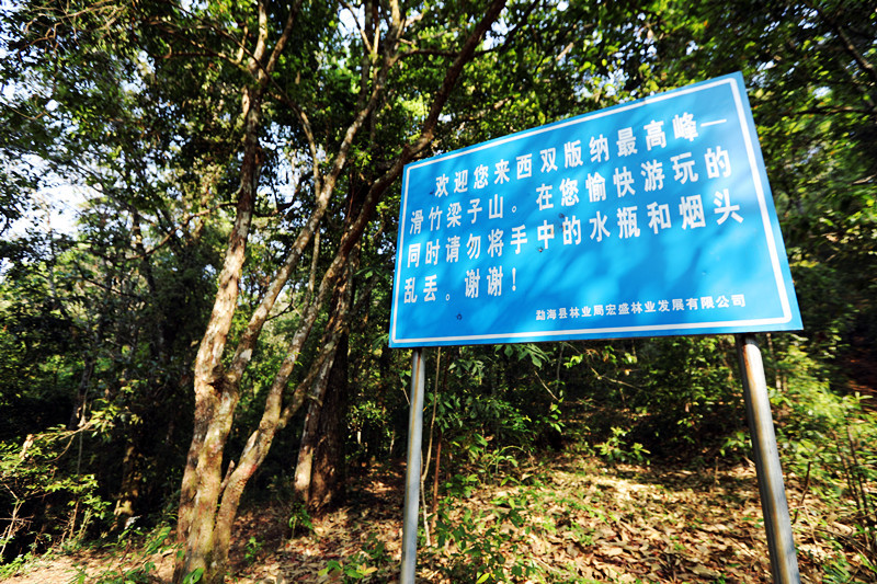 2021年滑竹梁子古樹(shù)秋茶價(jià)格？