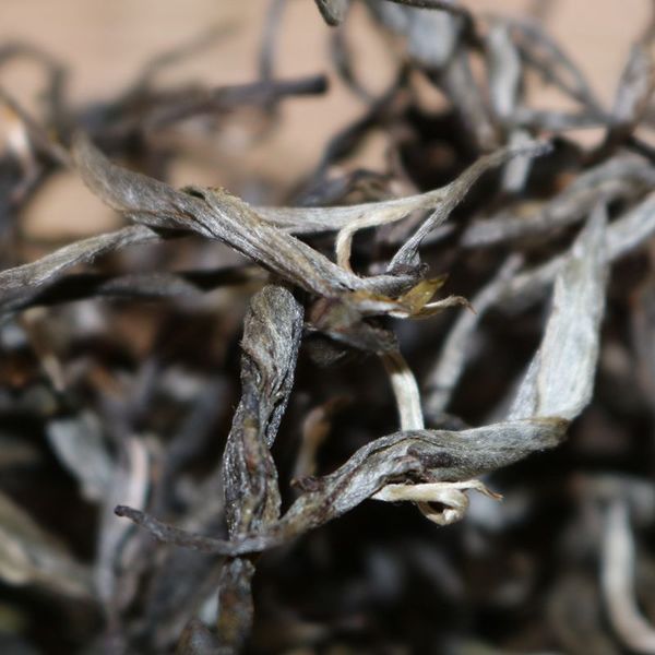 2021年帕沙古樹秋茶，你了解多少？