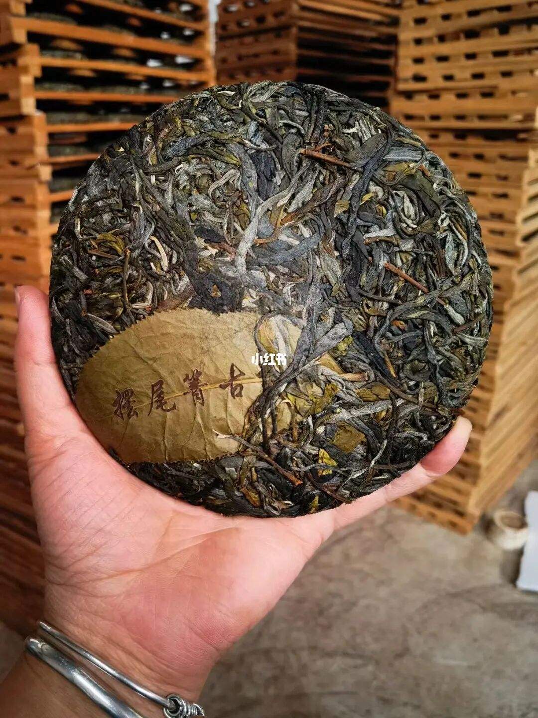 2022年寧洱 擺尾箐古樹春茶價(jià)格？