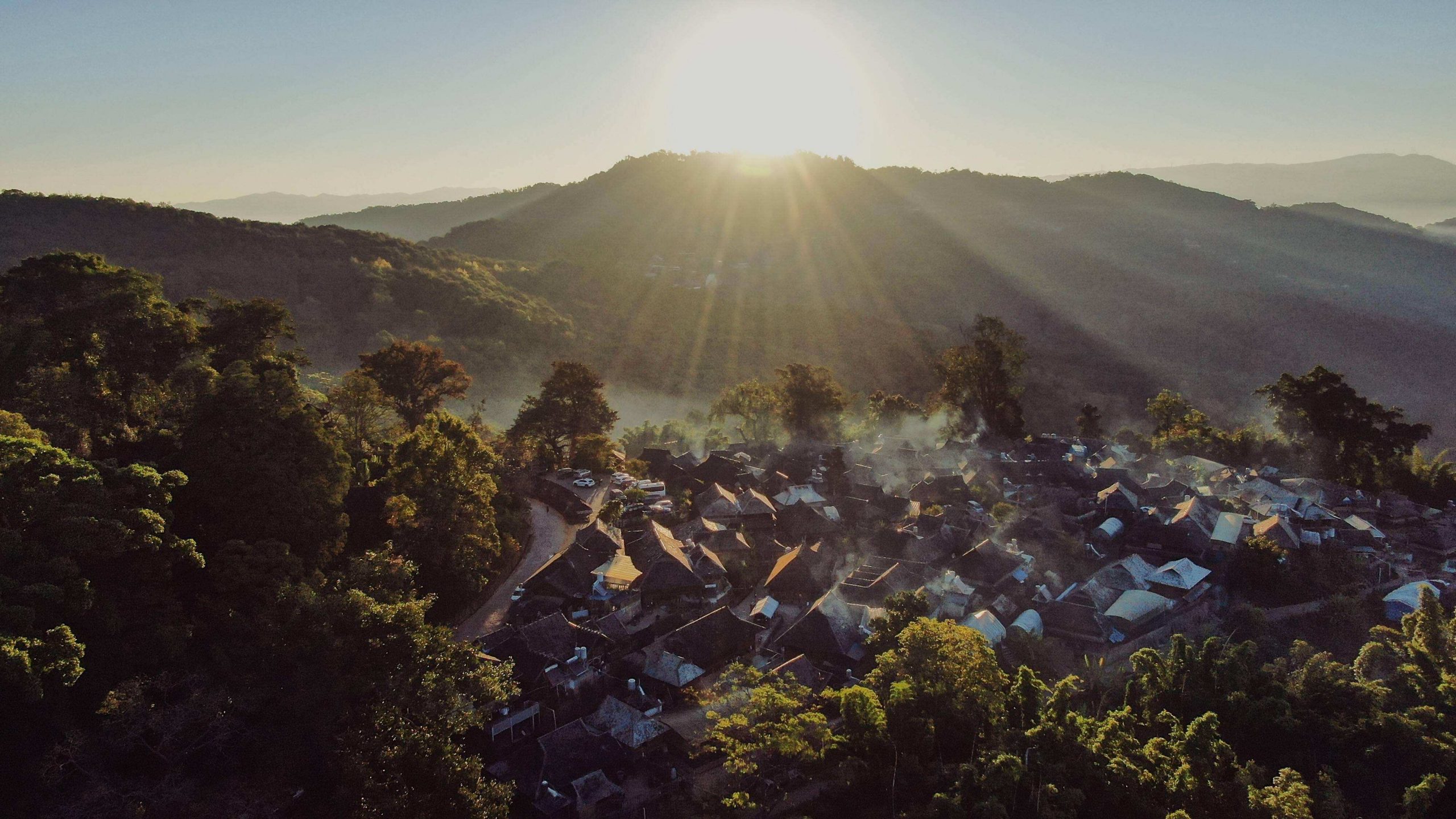 2022年景邁山古樹春茶特點？