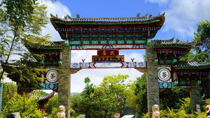 2022年易武正山在哪？易武正山是什么意思？