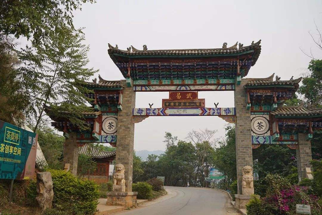 2022年易武正山古樹(shù)春茶特點(diǎn)？