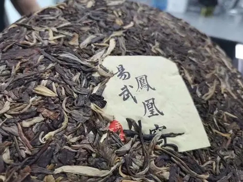 2022年鳳凰窩古樹高桿，鳳凰筑巢的地方