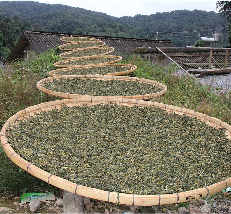 2022年白沙河古樹(shù)春茶價(jià)格？