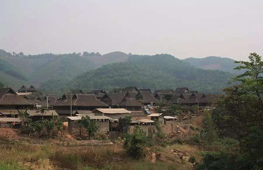 2022年革登古樹春茶特點(diǎn)？