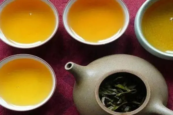 2022年普洱茶怎么泡法才正確？