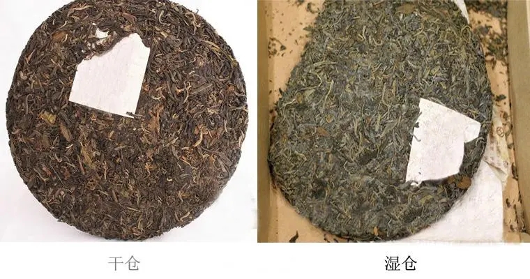 普洱茶怎么分辨干濕倉？