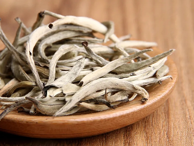 福鼎白茶、安吉白茶、云南月光白“三白”的區(qū)別