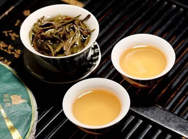 茶會“說話”，讀懂云南古樹普洱茶的秘訣