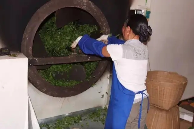 手工殺青與機(jī)器殺青的區(qū)別！