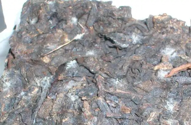 ?普洱茶發(fā)霉了怎么辦？教你妙招應(yīng)對(duì)發(fā)霉的普洱茶！