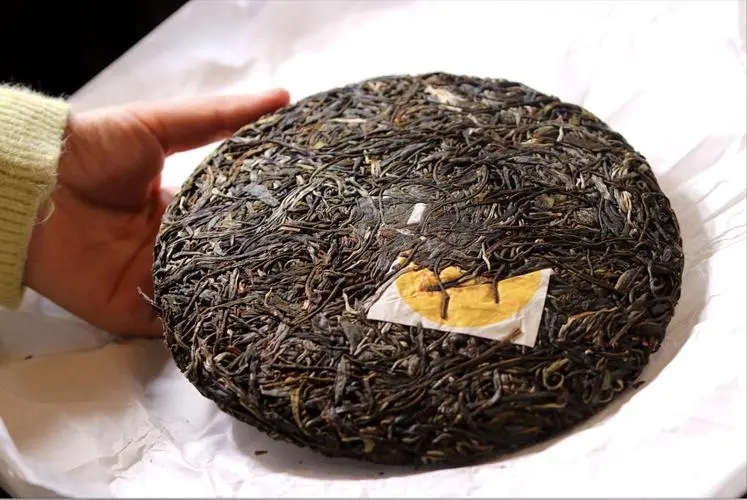 犀牛塘 | 古韻留香，帕沙之王