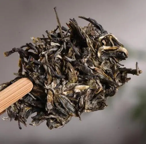 茶無貴賤！這些不知名的山頭，其實也產(chǎn)優(yōu)質(zhì)普洱茶！