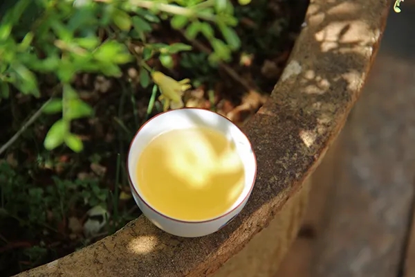 普洱茶越苦澀就代表品質(zhì)越好嗎？