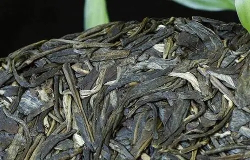 喝普洱茶，一定要喝老茶嗎？