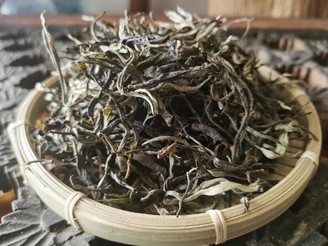淺析普洱茶現(xiàn)存審評(píng)體系的不足