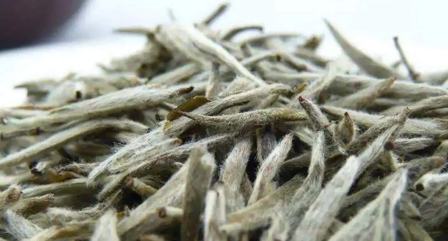 茶毫越多的茶，品質(zhì)就越高嗎？