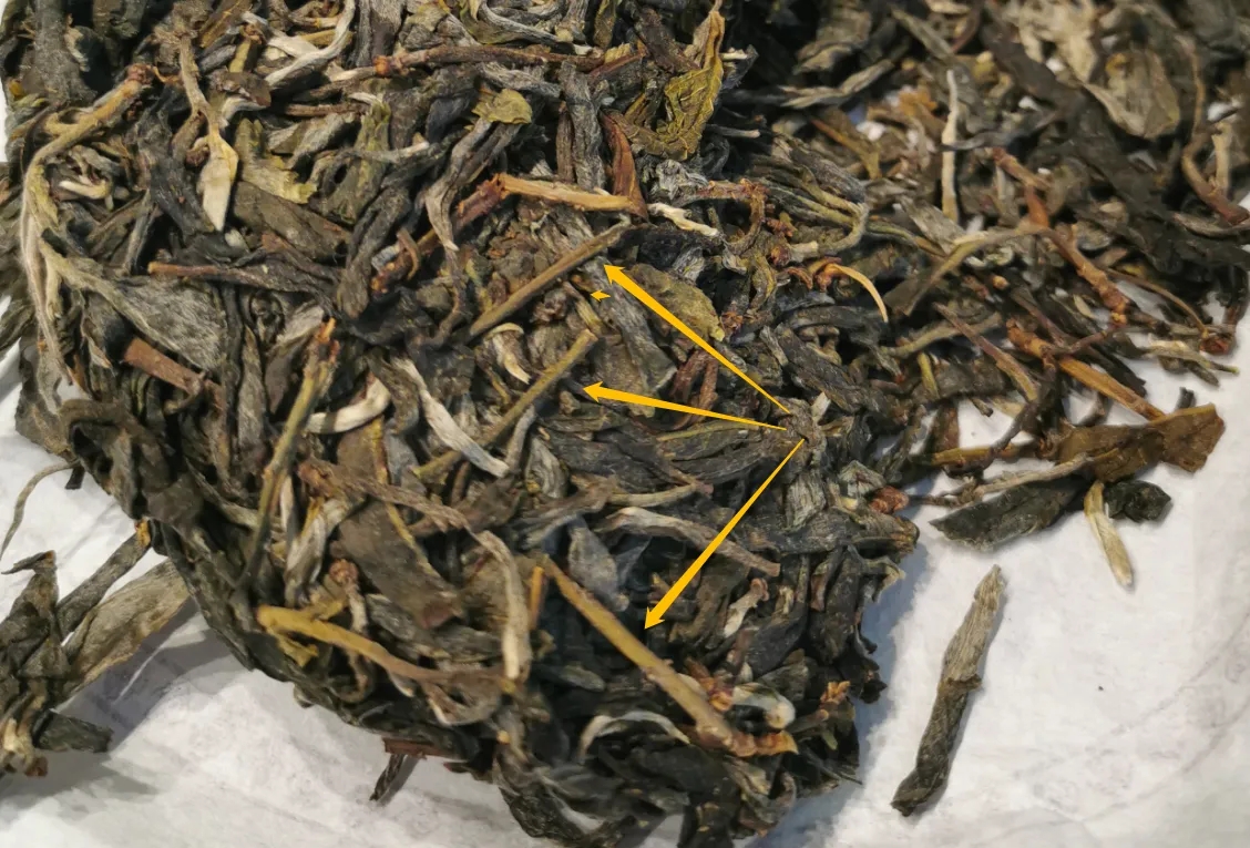 普洱茶的葉底有茶梗，就是茶不好嗎？