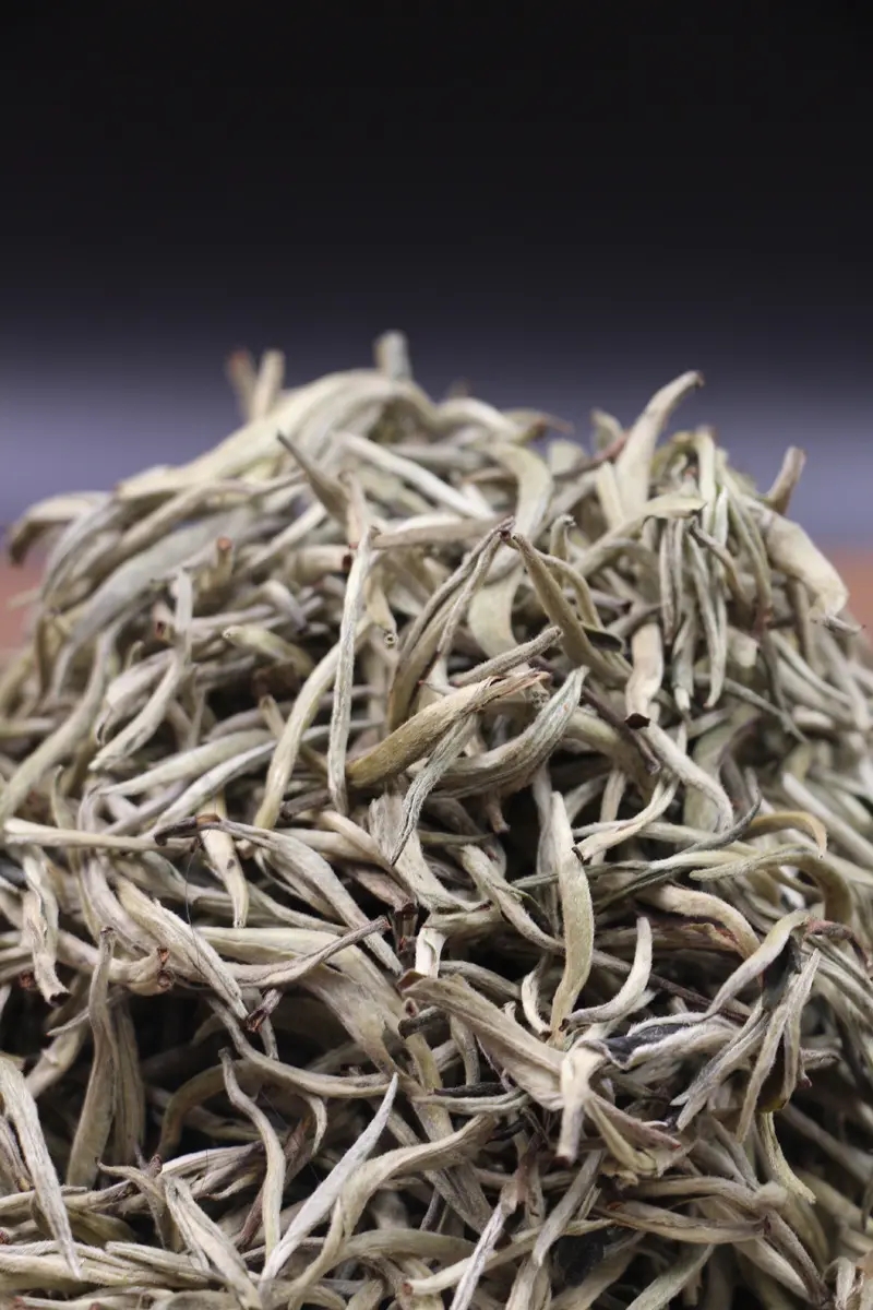 白茶知識丨如何區(qū)分福鼎白茶-云南月光白-安吉白茶