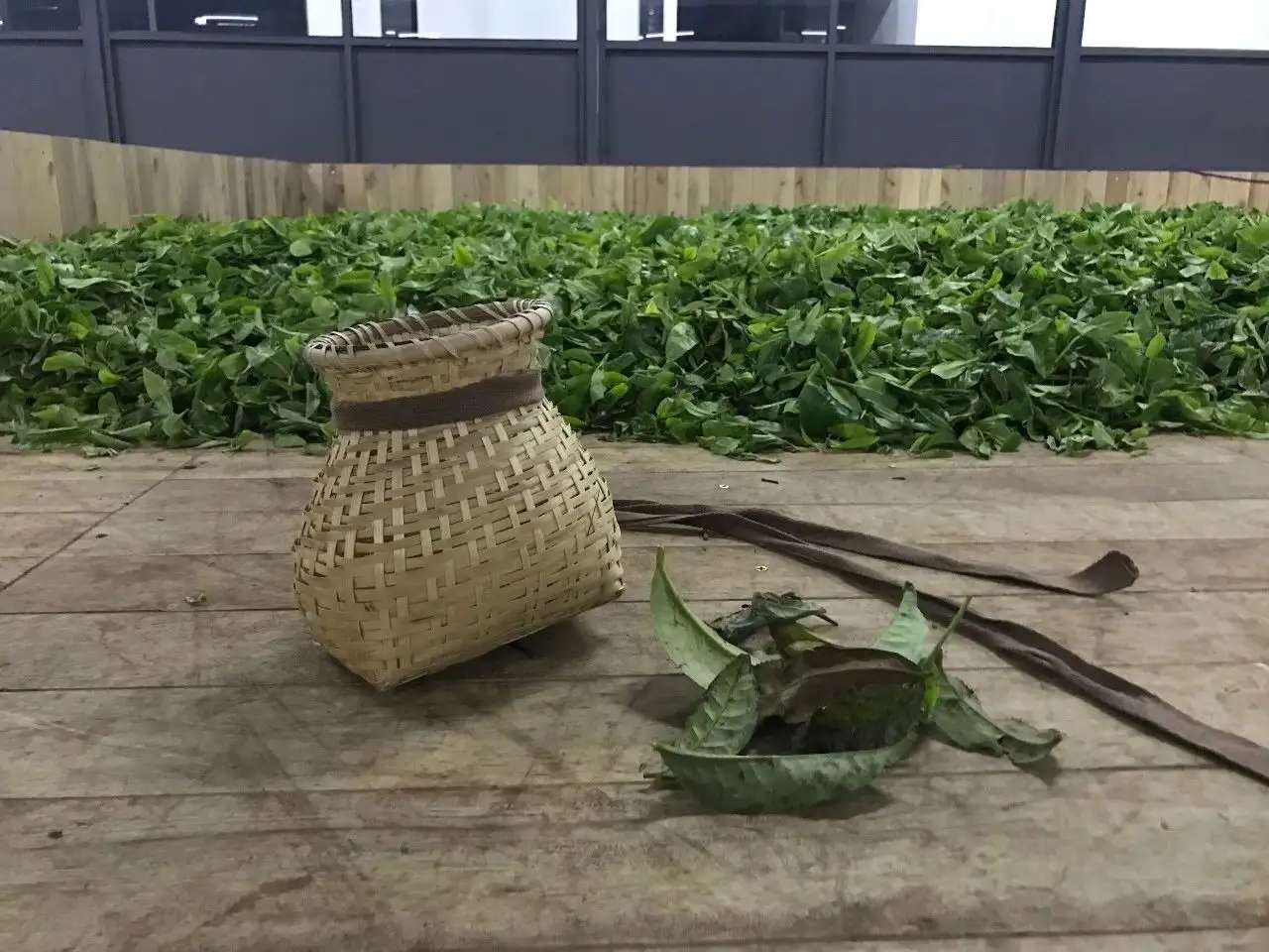 普洱茶，如果不談山頭，我們談什么？