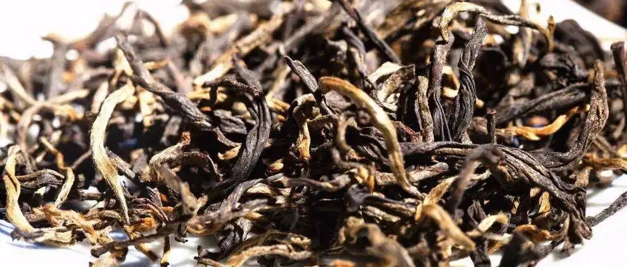 什么是茶氣？茶氣強勁又是一種怎樣的體驗？