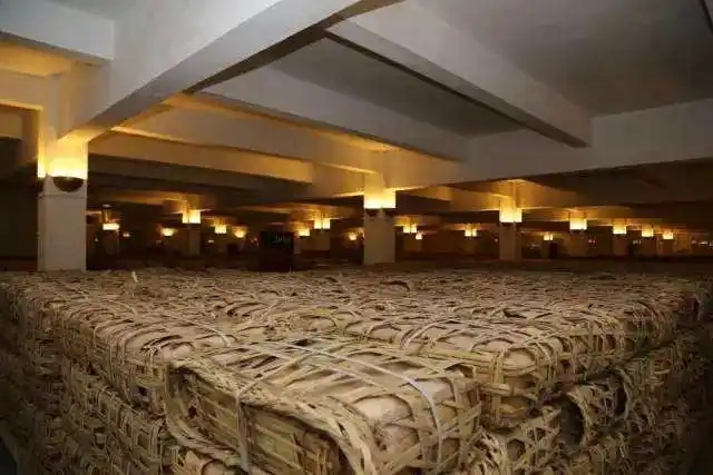 云南古樹普洱茶好在哪？相比小樹茶、臺地茶有何不同？