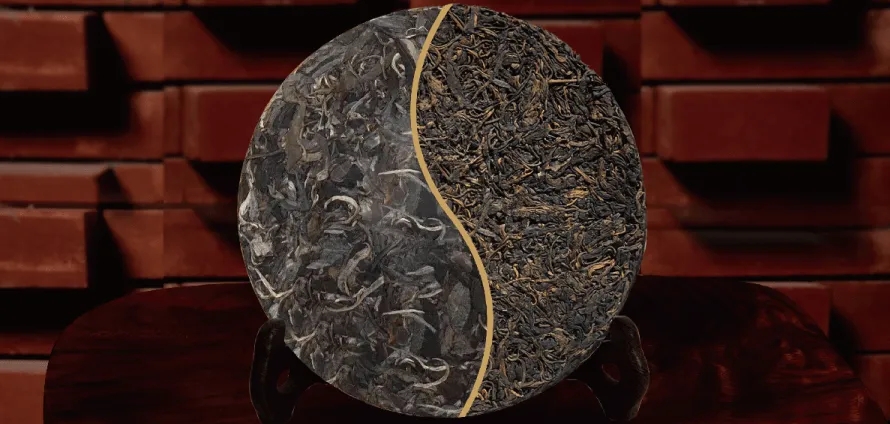 一入普門深似海？入普洱門前，你需要了解這些