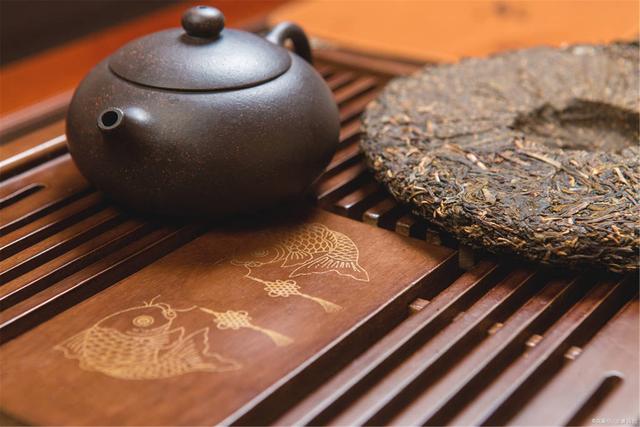 為什么你買不到好的古樹普洱茶？買茶防坑指南，看完就有收獲！