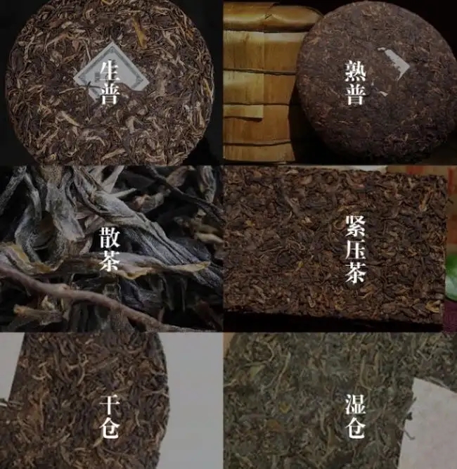 普洱茶不是越陳越香嗎？怎么也有最佳品飲期？