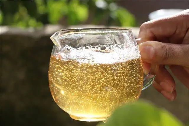 茶顏觀色”，看普洱茶條索里都蘊含著怎樣的“密碼”？