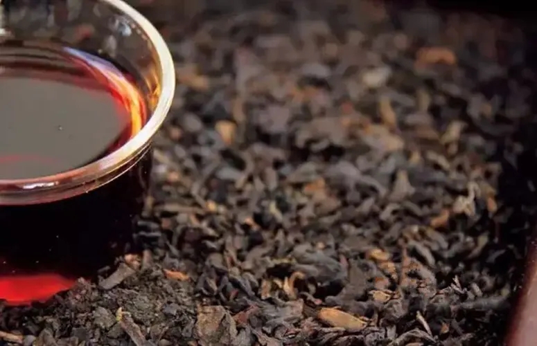 普洱生茶與熟茶那個減肥效果好？