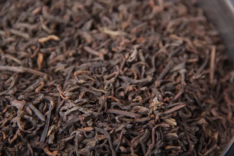 品懂熟茶丨新制的熟茶怎么品評？