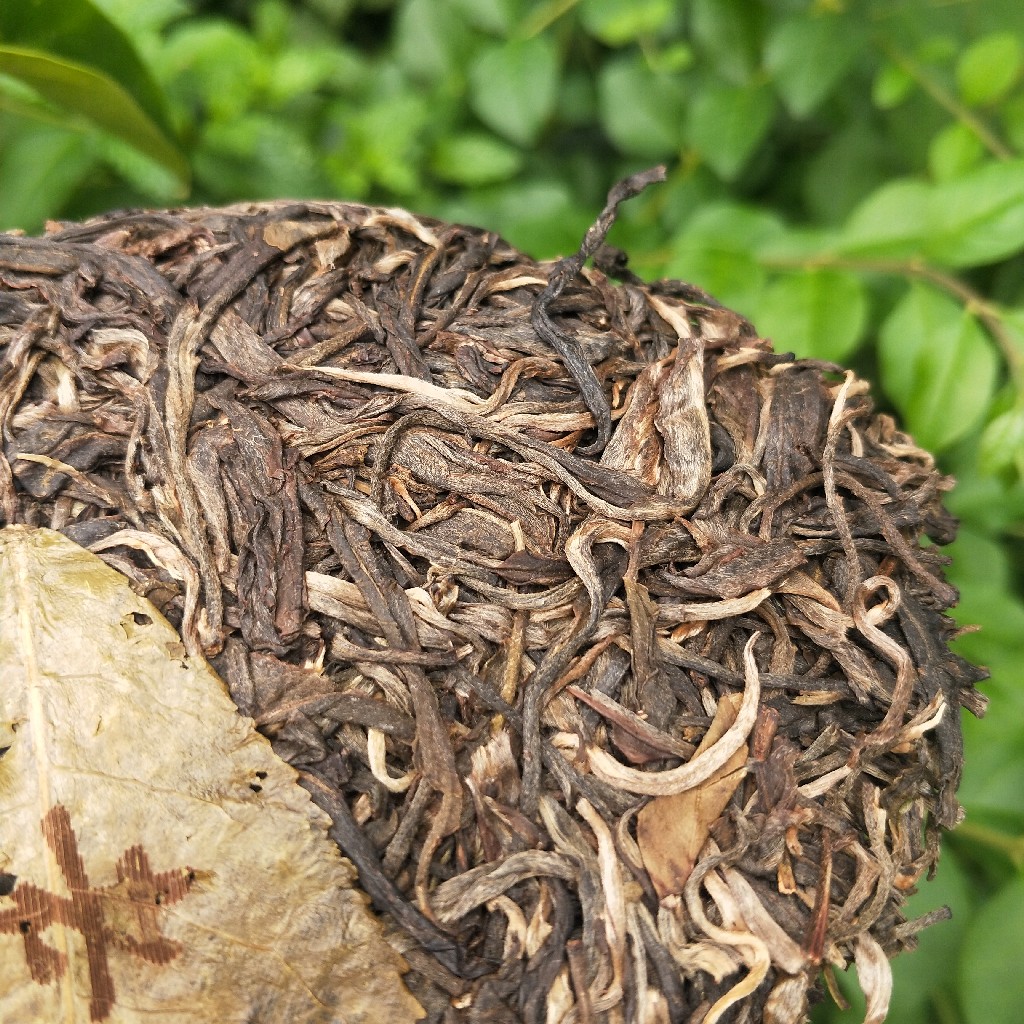 2023年班盆古樹春茶多少錢一公斤？