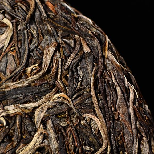 2023年廣別老寨古樹春茶口感怎么樣？