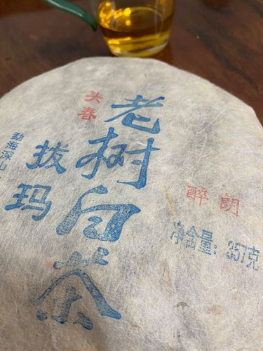 2023年拔瑪老寨古樹春茶口感如何？