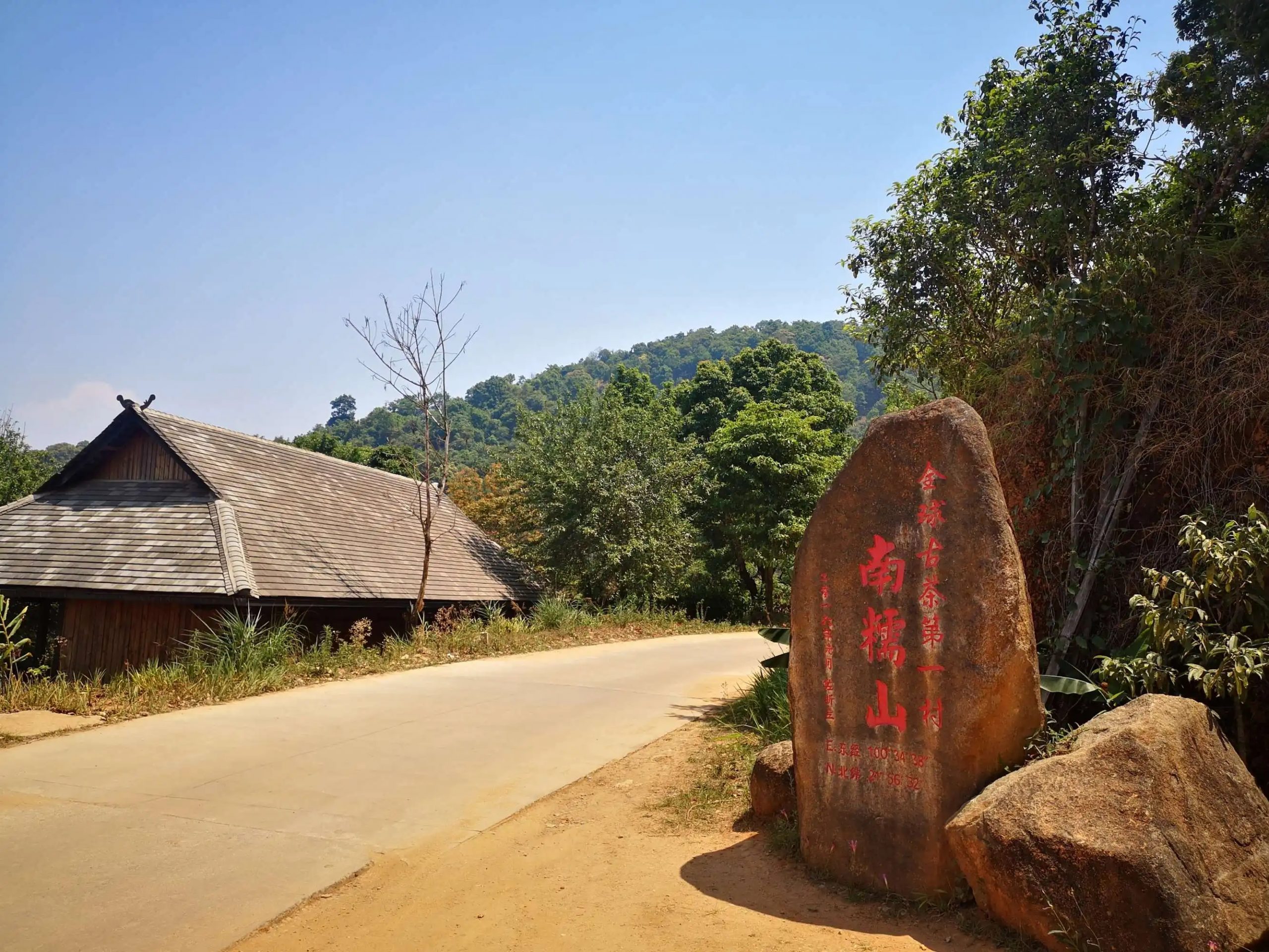 2023年南糯山古樹春茶品質(zhì)怎么樣？