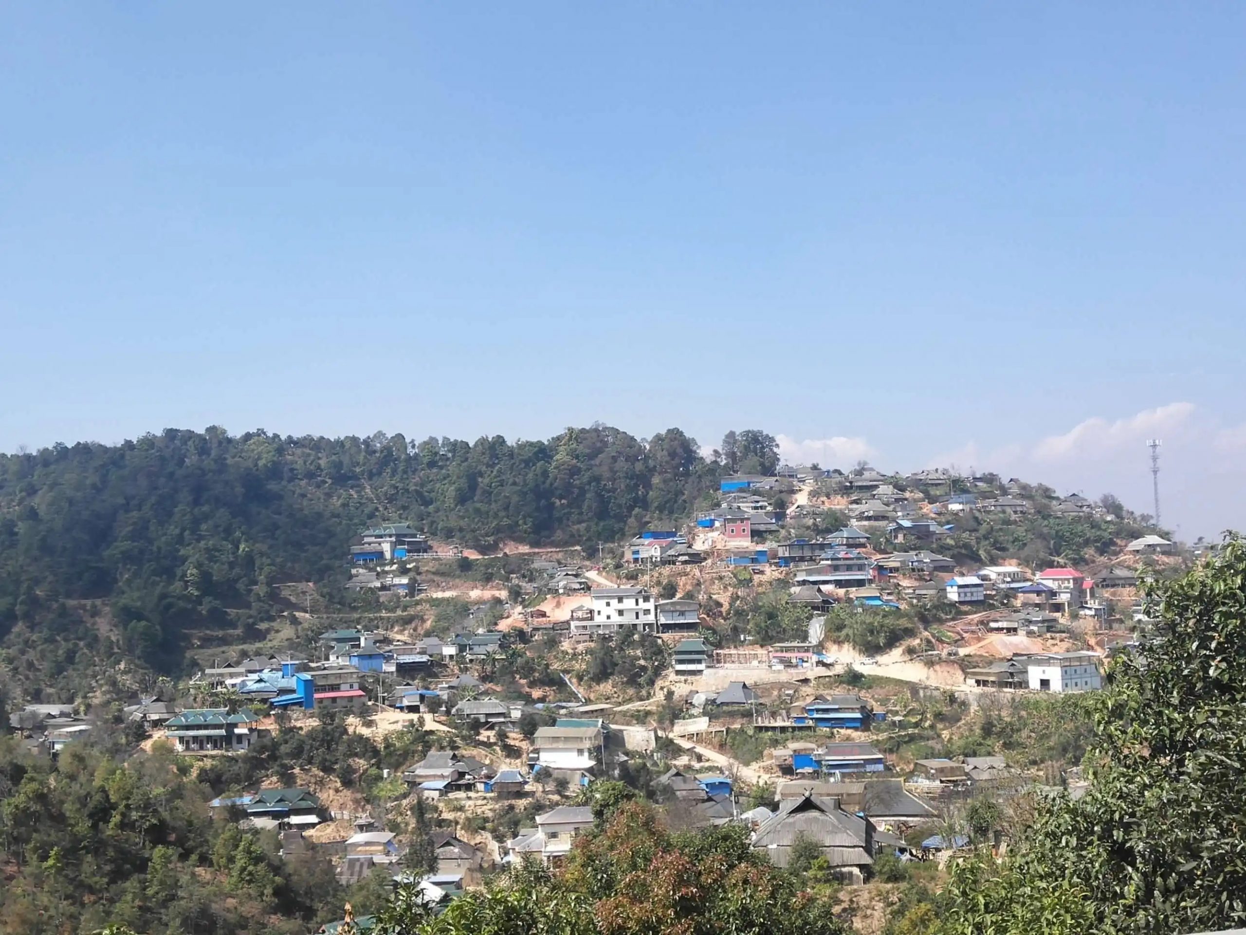 2023年帕沙古樹春茶品質如何？