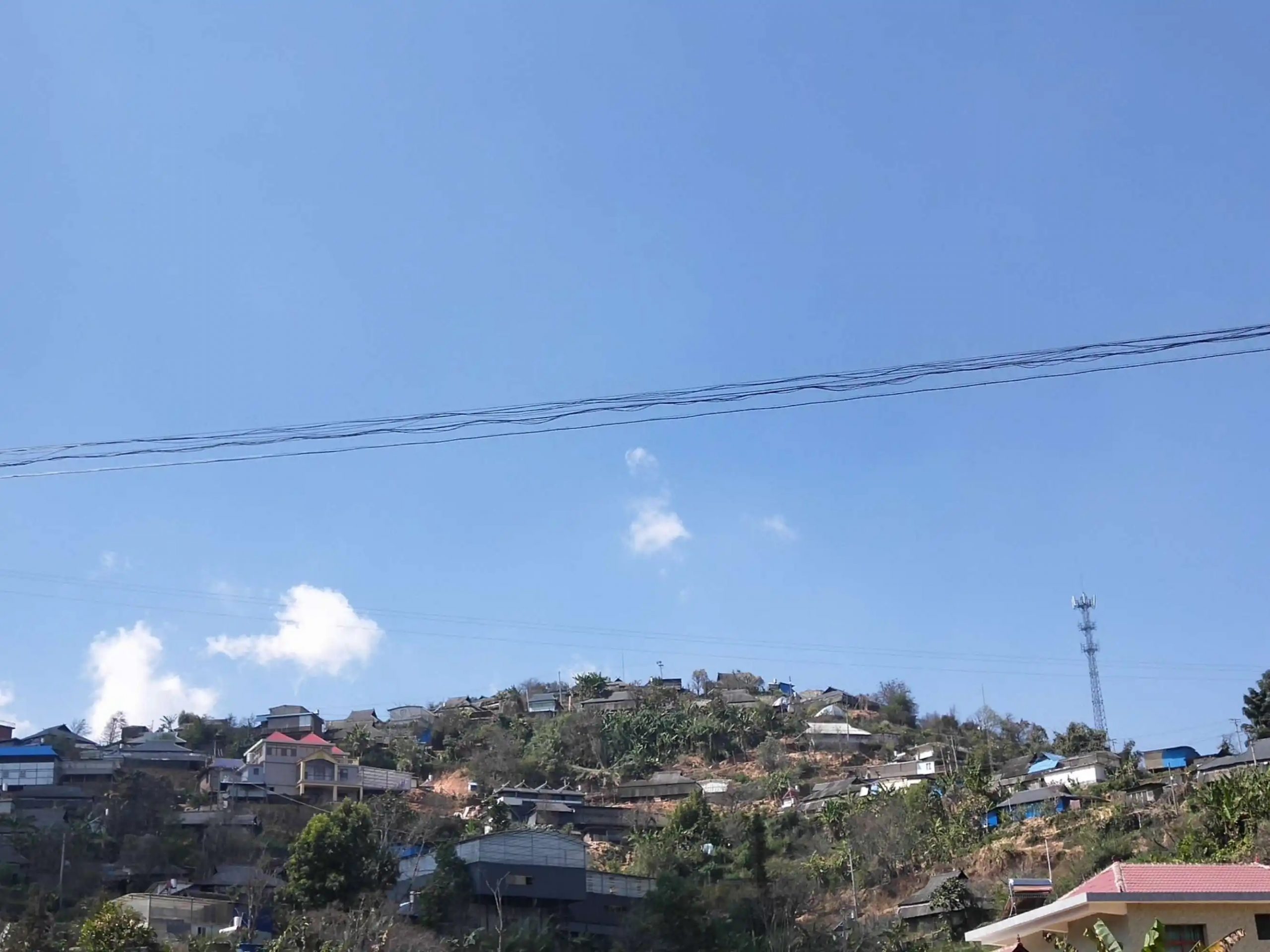 2023帕沙古樹春茶特點是什么？