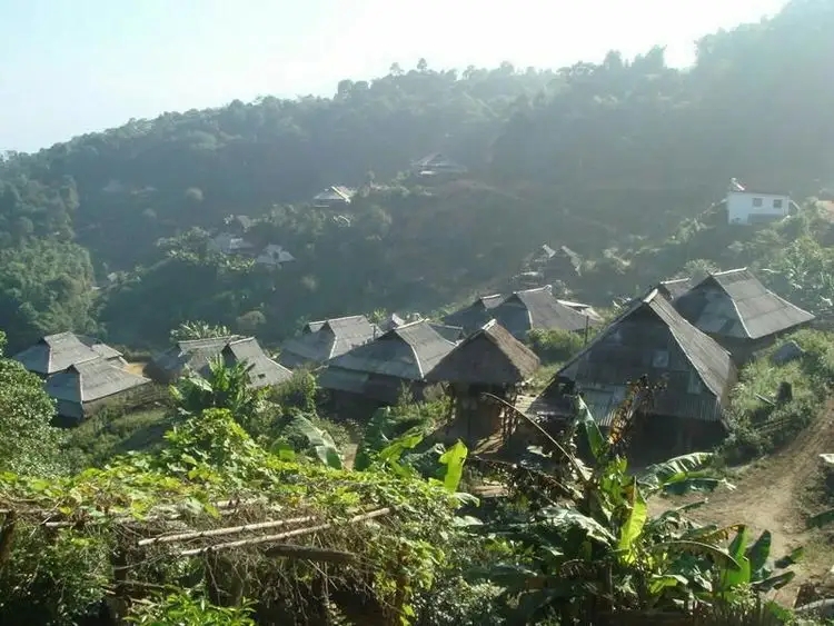 2023年帕沙古樹春茶多少一公斤？