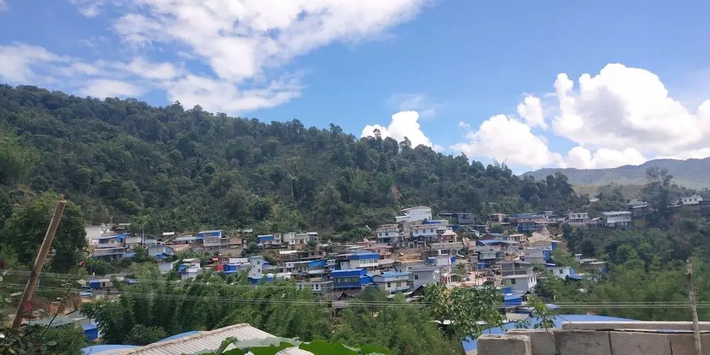 2023年那卡古樹春茶品質(zhì)如何？