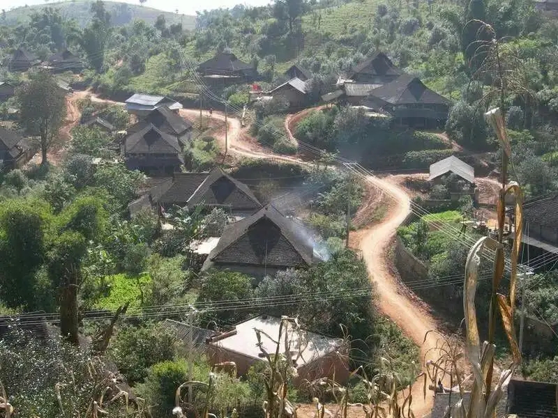 2023年保塘老寨古樹春茶品質(zhì)如何？