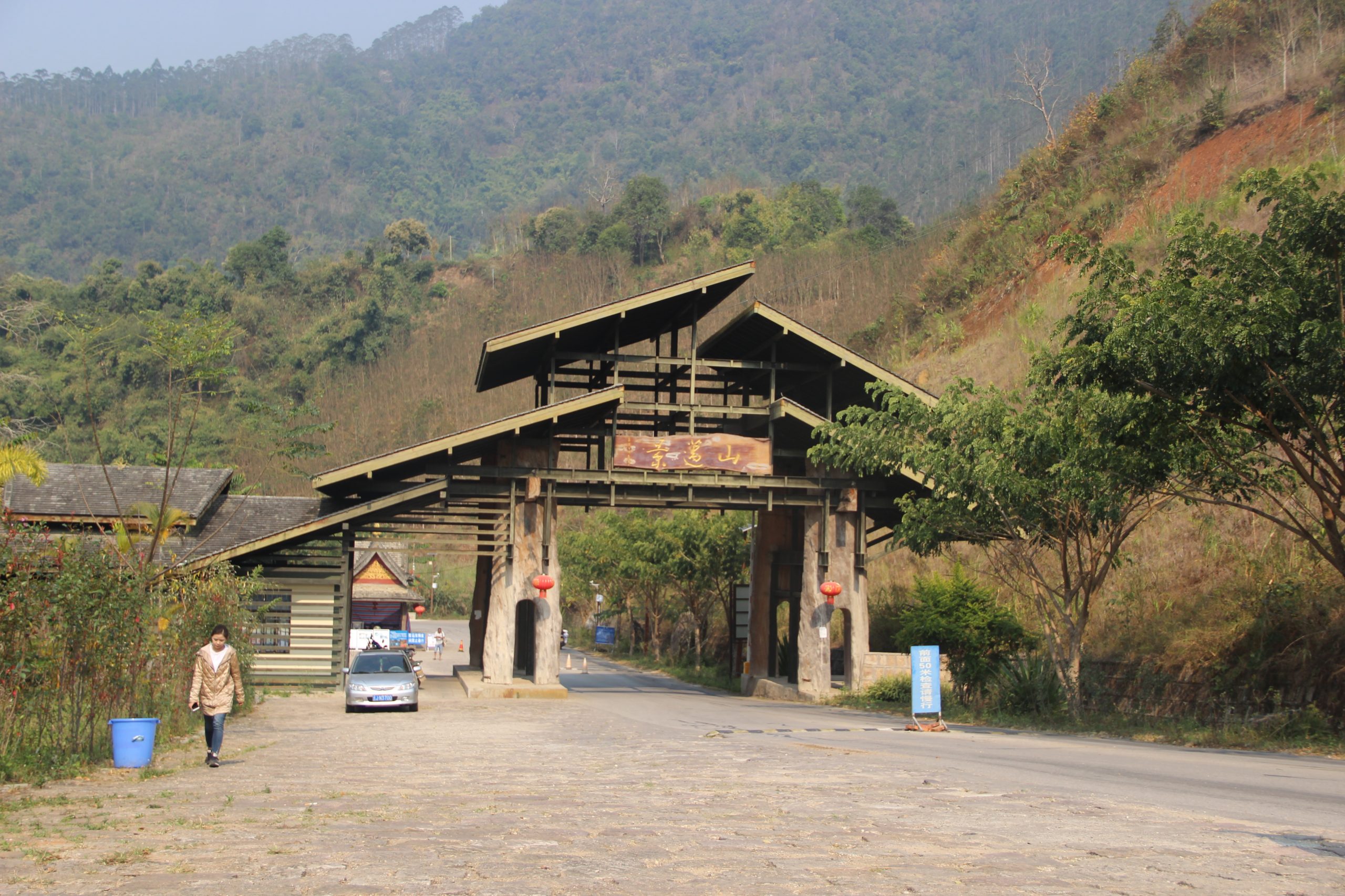 2023年景邁古樹春茶口感如何？