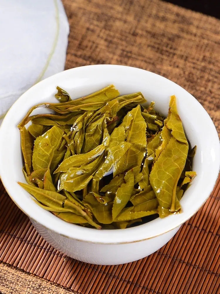 2023白鶯山古樹春茶特點是什么？