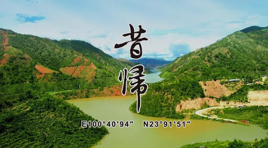 2023年昔歸古樹春茶品質(zhì)如何？