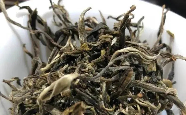 2023年鳳凰窩古樹春茶多少一公斤？